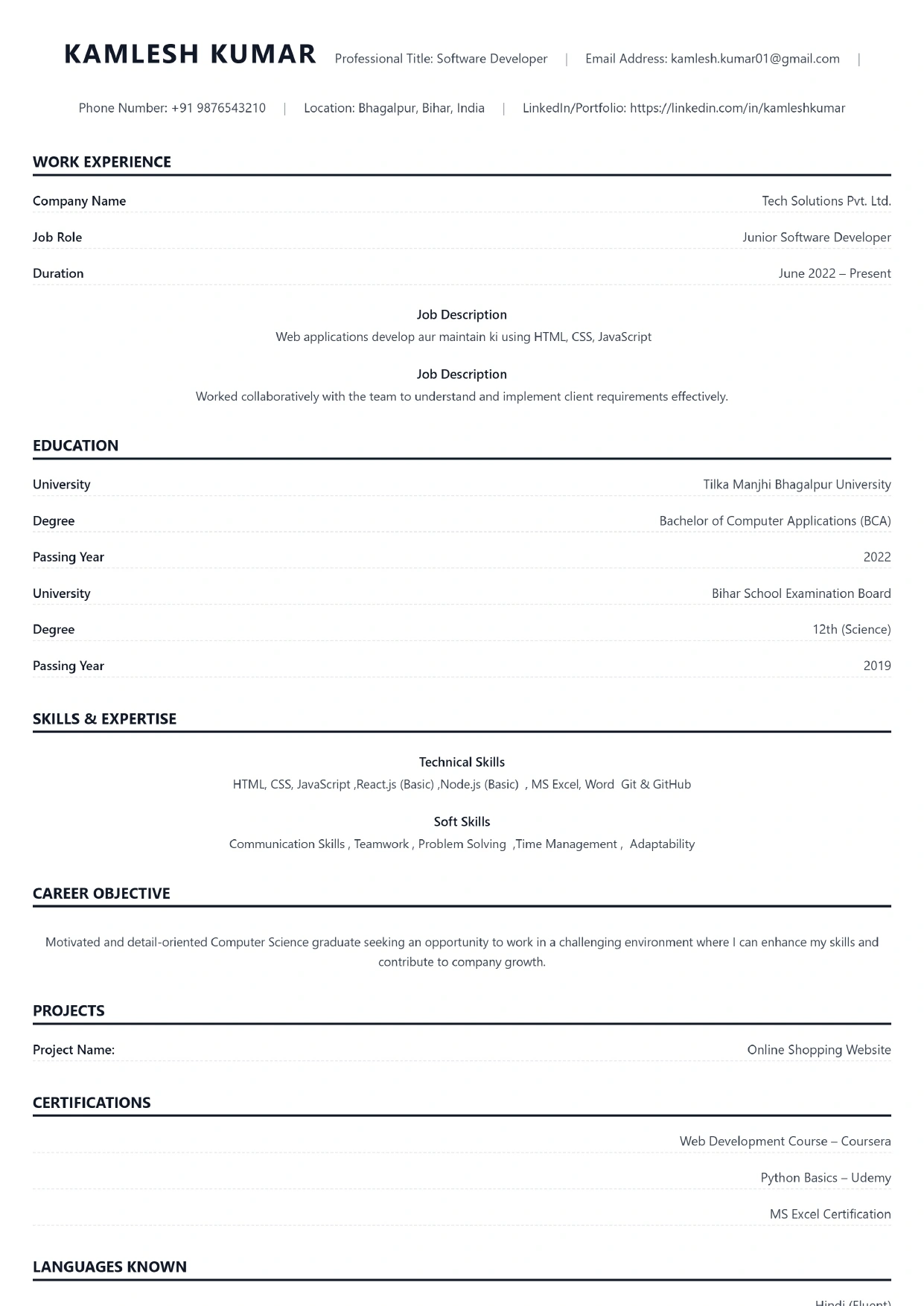 Executive Pro Resume Preview